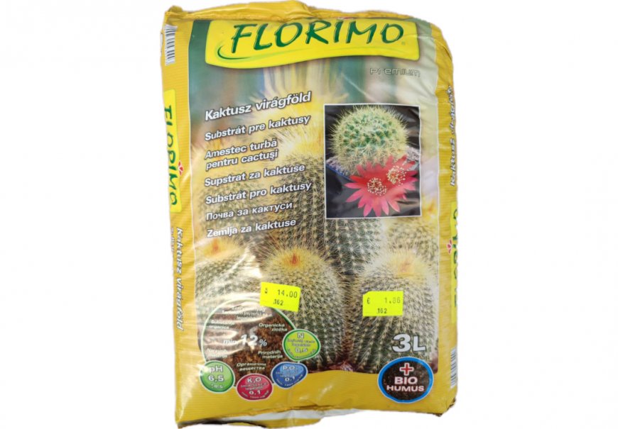 FLORIMO - Cactus