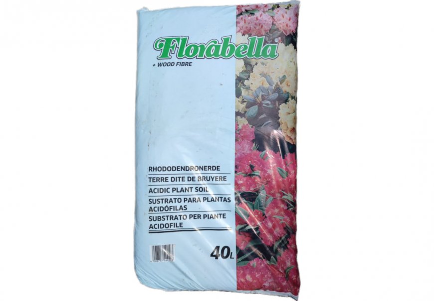 Florabella - Rhododendron