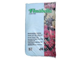 Florabella - Rhododendron