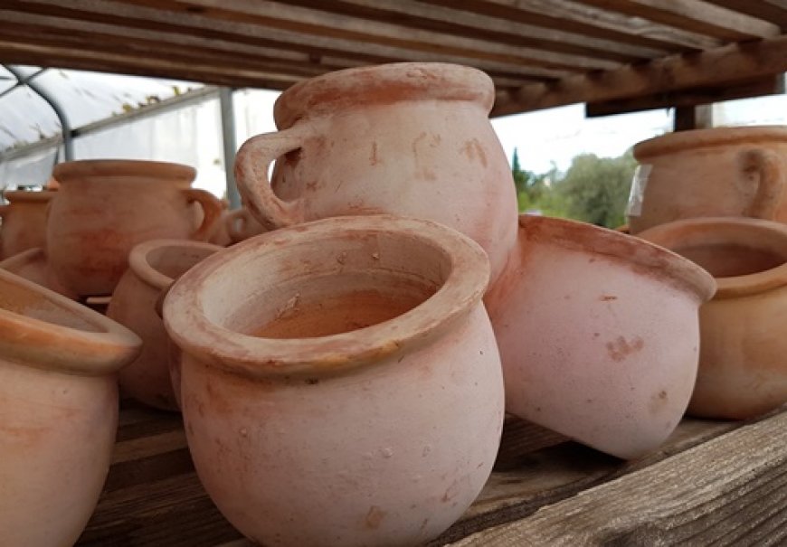 Terracotta and ceramic pots