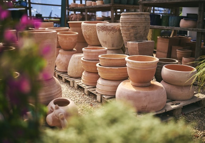 Terracotta and ceramic pots