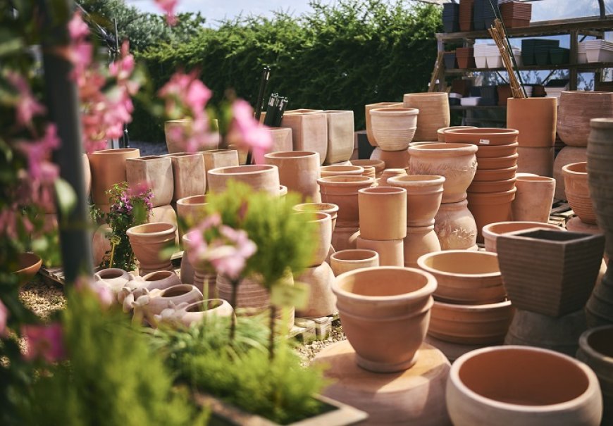 Terracotta and ceramic pots