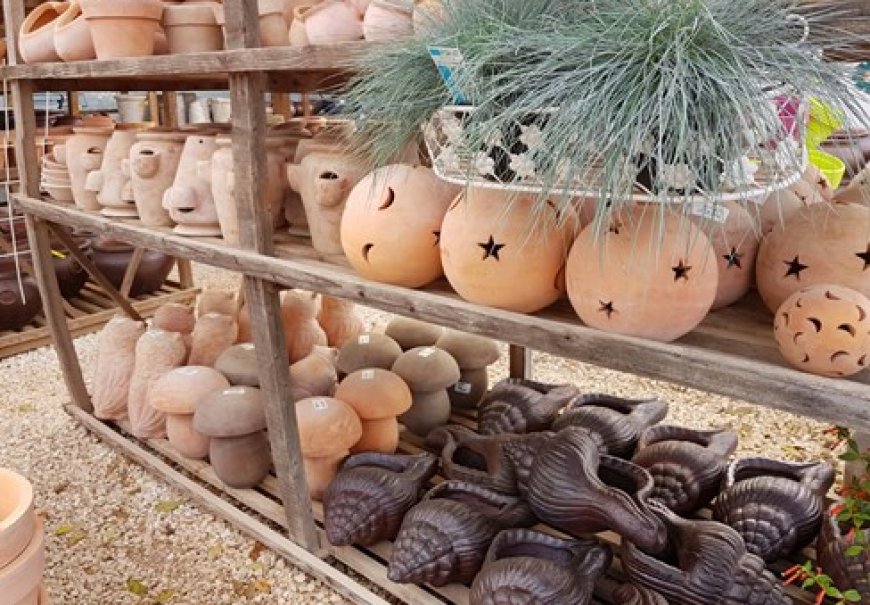Terracotta and ceramic pots