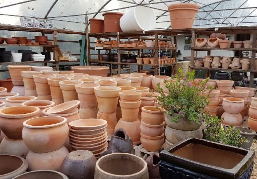 Terracotta and ceramic pots
