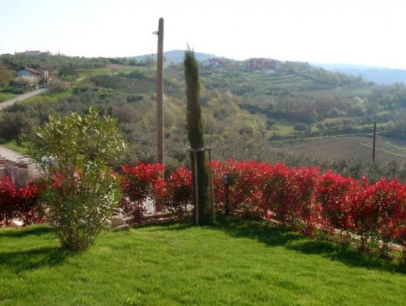 Gardens of Istrian villas in Baredine