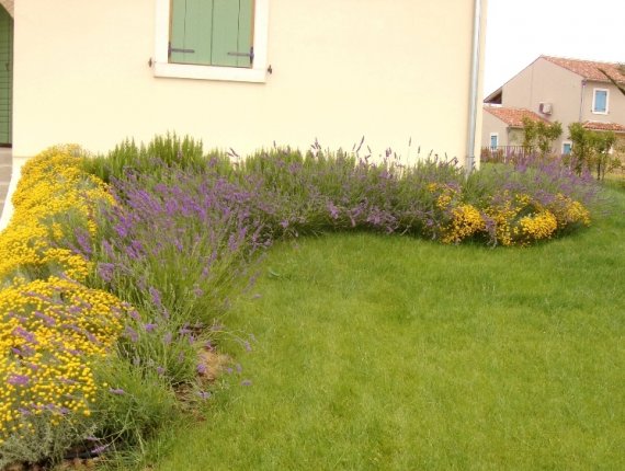 Gardens of Istrian villas in Baredine