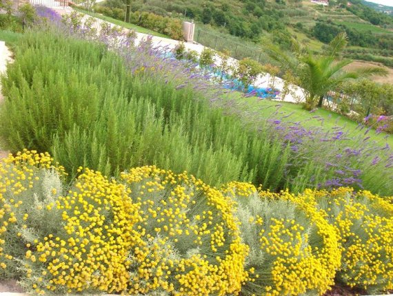 Gardens of Istrian villas in Baredine