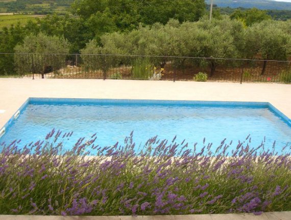 Gardens of Istrian villas in Baredine